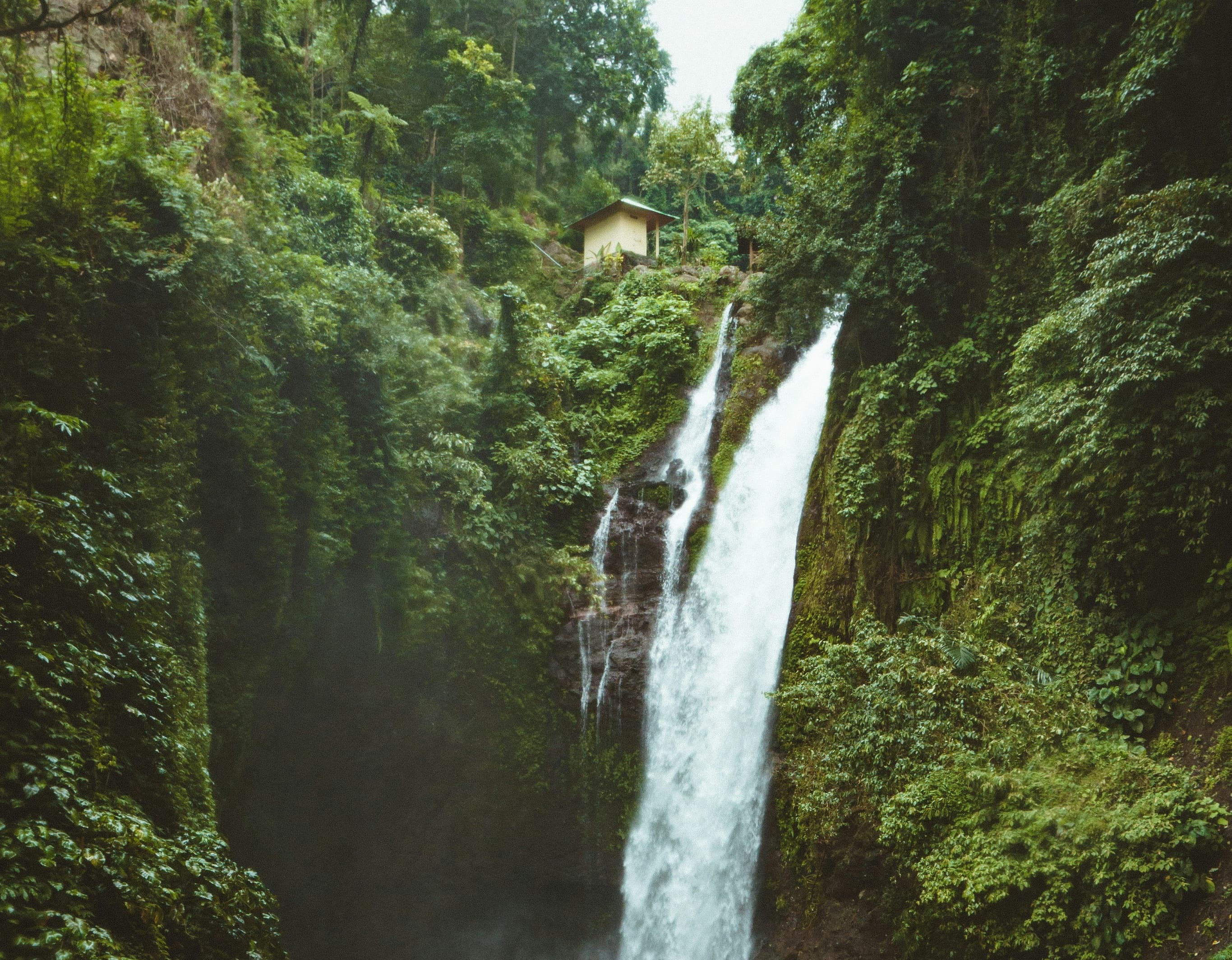 Nature Waterfall