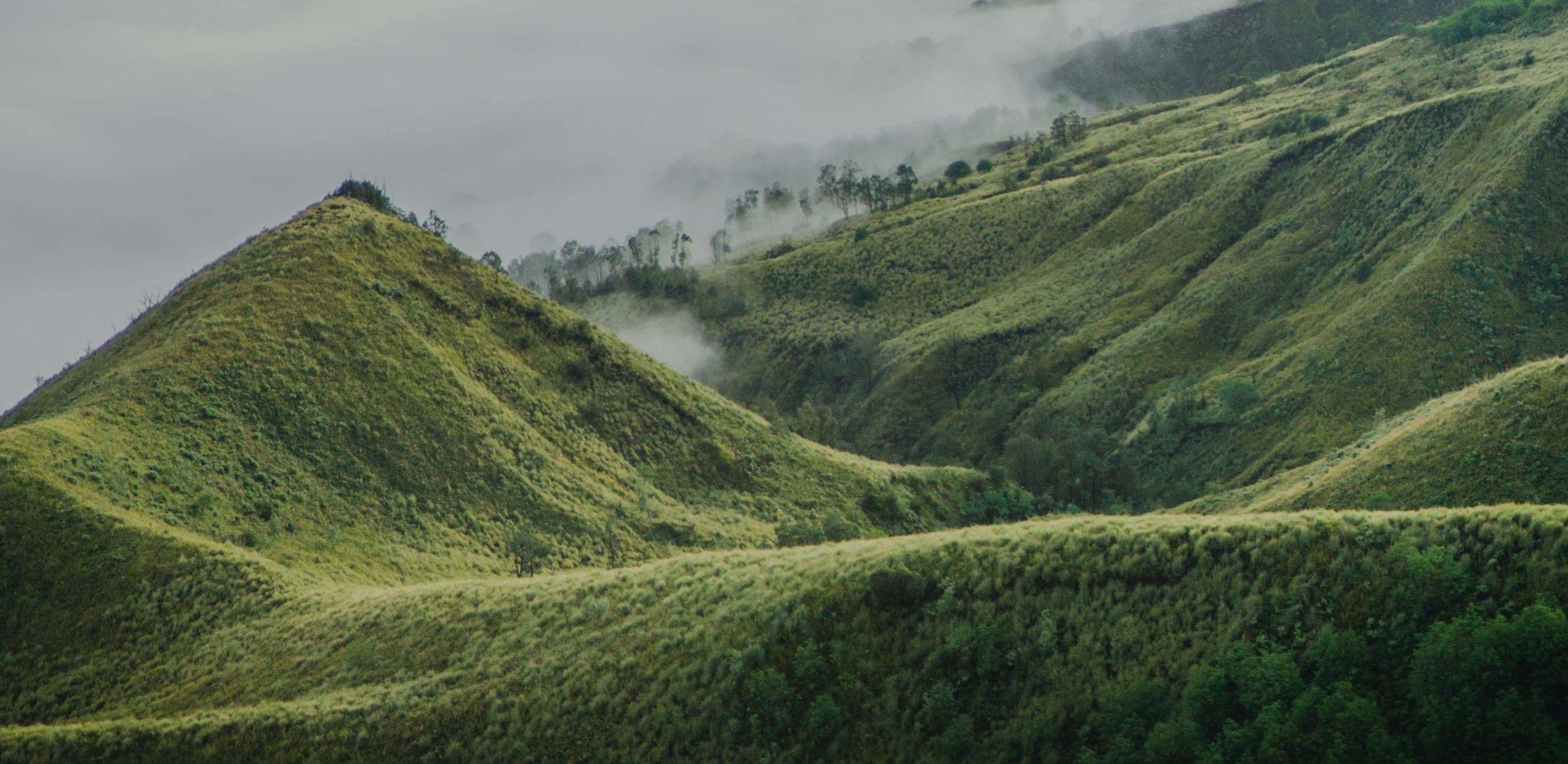 Nature travel panorama