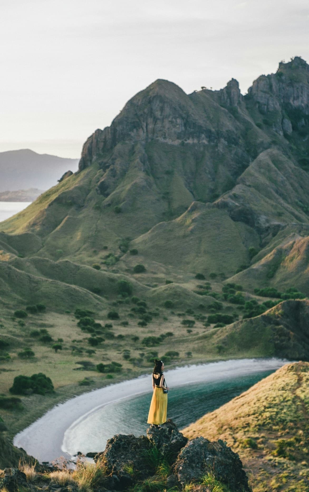 Center vertical image